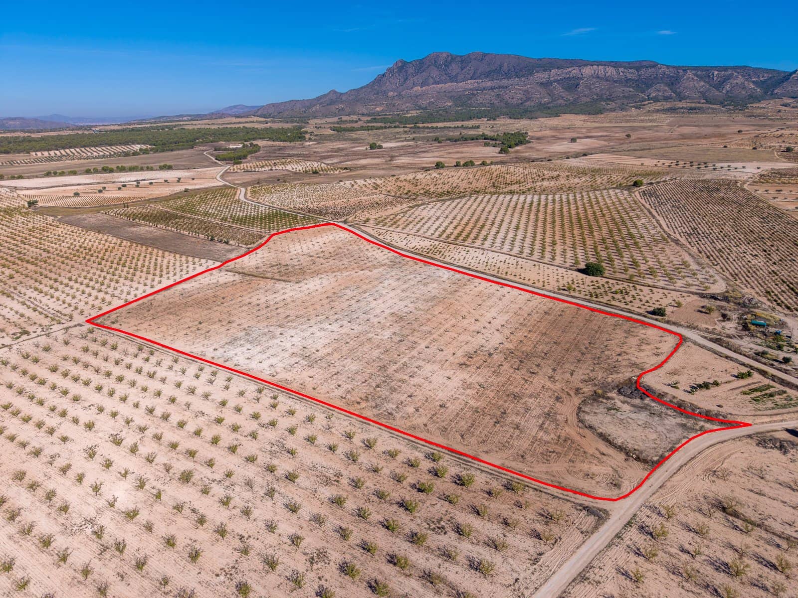 Terre non Aménagée à vendre à Jumilla - 69 000 € (Ref: 10130477)