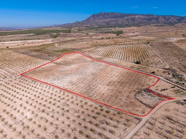 Terre non Aménagée à vendre à Jumilla - 69 000 € (Ref: 10130477)
