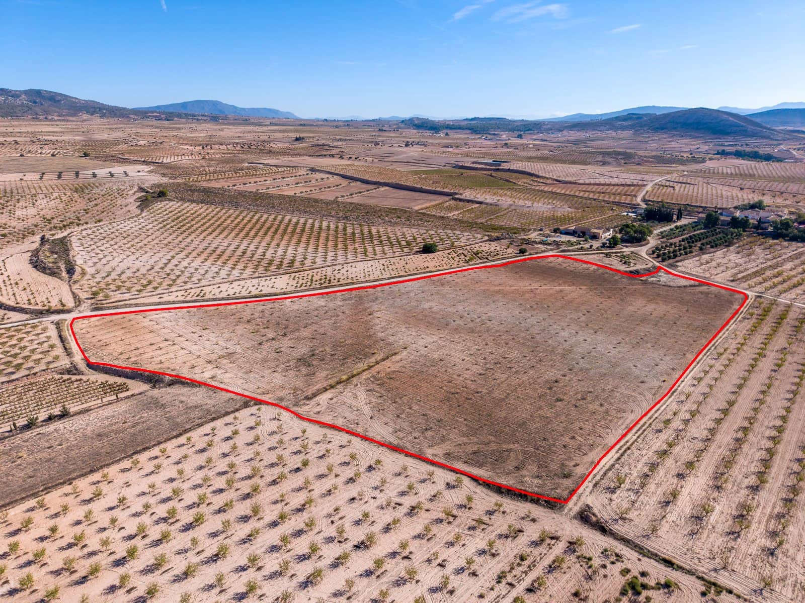 Terre non Aménagée à vendre à Jumilla - 69 000 € (Ref: 10130477)