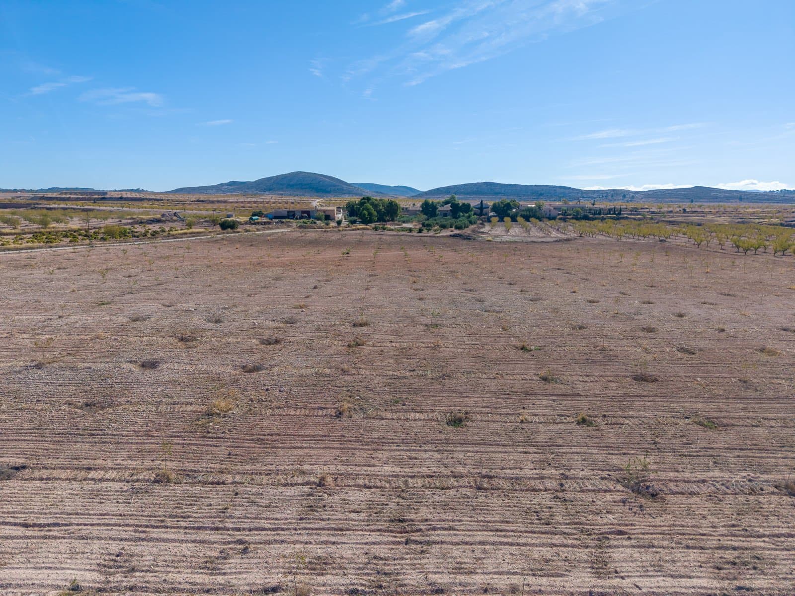 Terre non Aménagée à vendre à Jumilla - 69 000 € (Ref: 10130477)