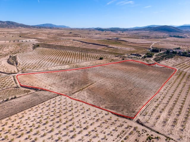 Terre non Aménagée à vendre à Jumilla - 69 000 € (Ref: 10130477)