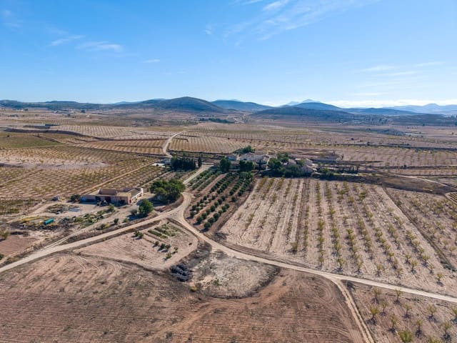 Terre non Aménagée à vendre à Jumilla - 69 000 € (Ref: 10130477)