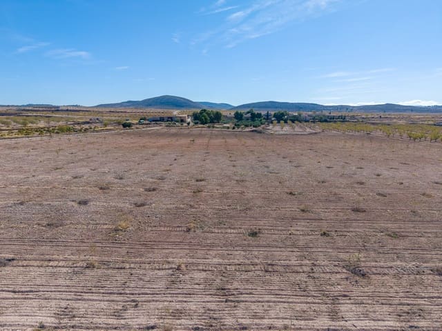 Terre non Aménagée à vendre à Jumilla - 69 000 € (Ref: 10130477)