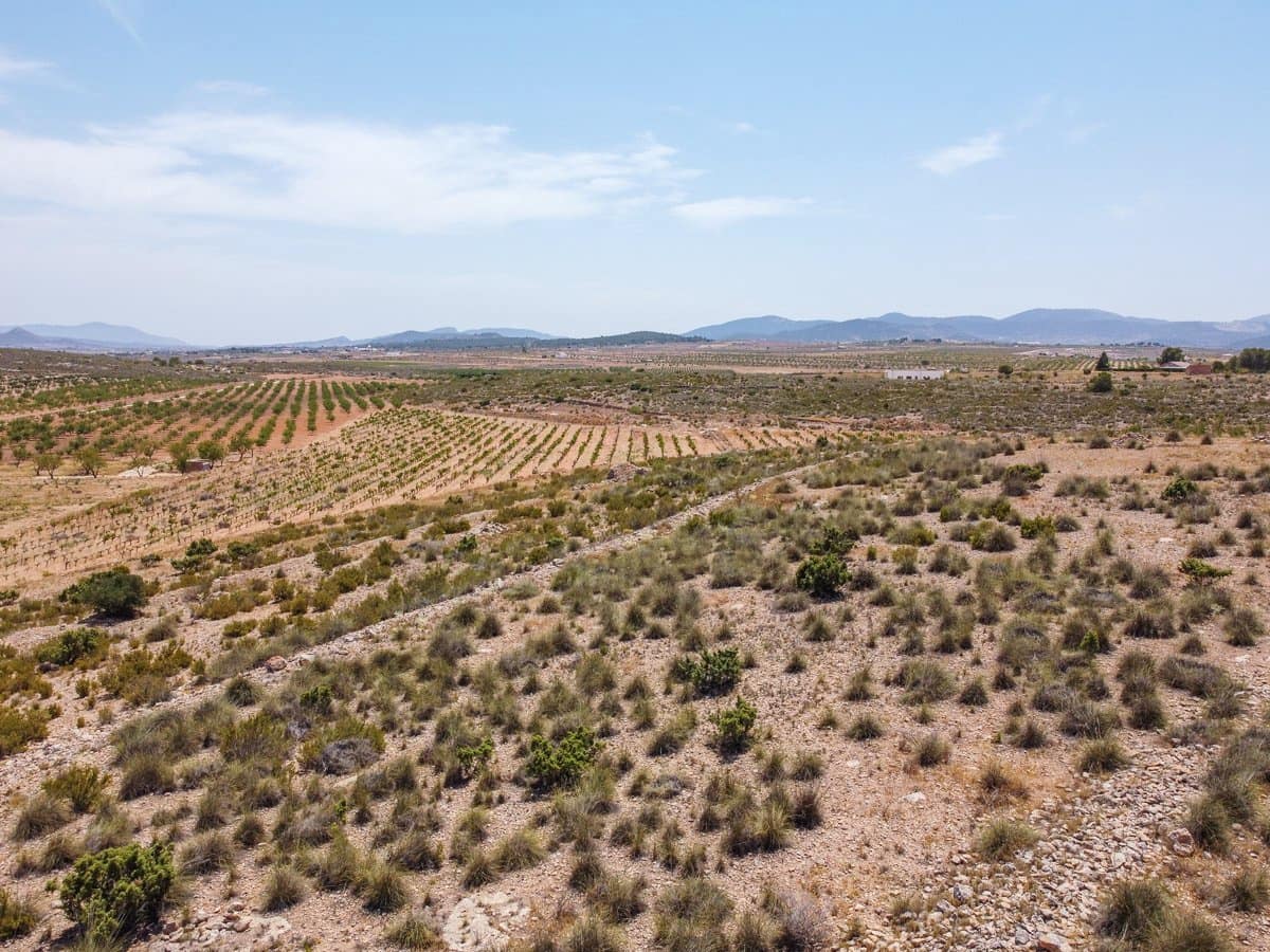 Mark till salu i Pinoso - 25 000 € (Ref: 10130478)