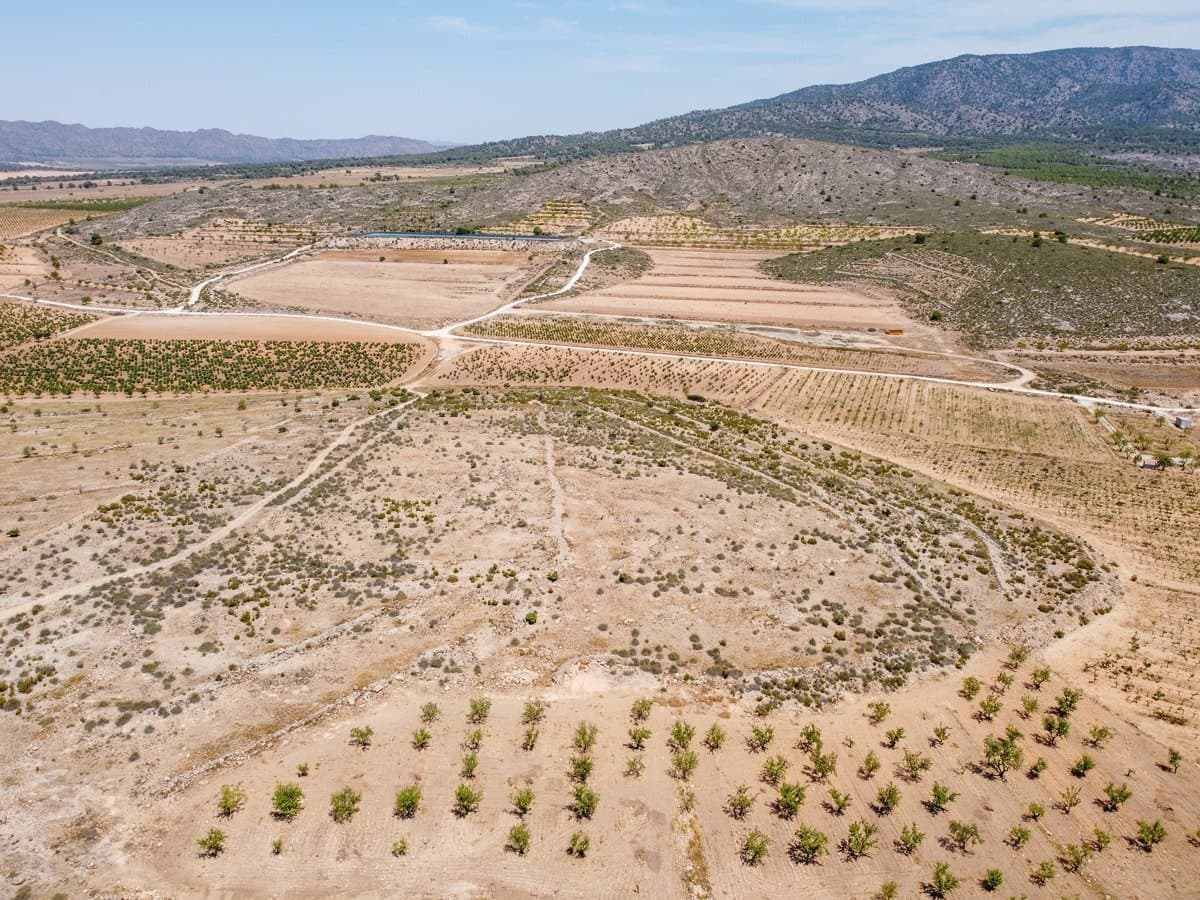 Mark till salu i Pinoso - 25 000 € (Ref: 10130478)