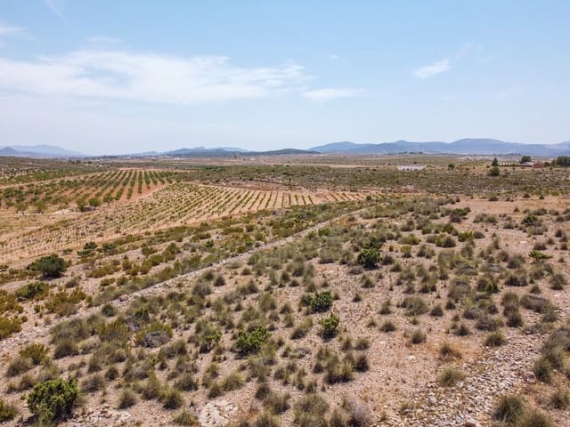 Mark till salu i Pinoso - 25 000 € (Ref: 10130478)
