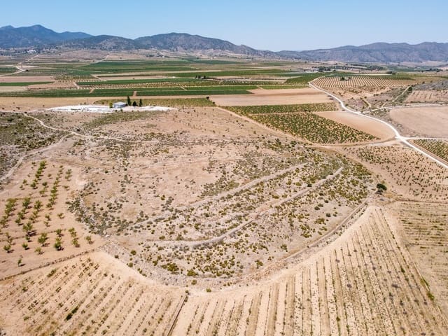 Mark till salu i Pinoso - 25 000 € (Ref: 10130478)