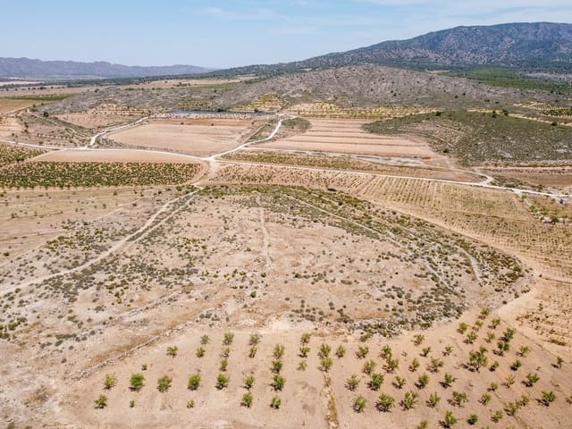 Mark till salu i Pinoso - 25 000 € (Ref: 10130478)