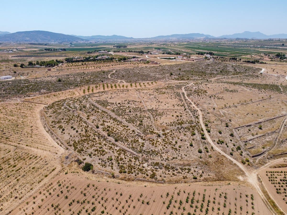 Mark till salu i Pinoso - 25 000 € (Ref: 10130478)