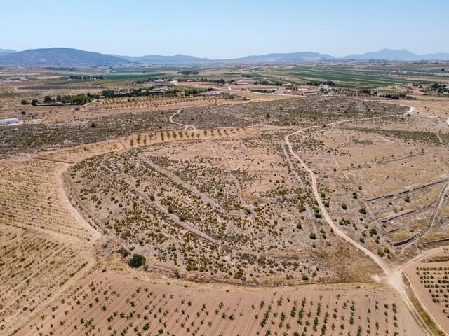 Mark till salu i Pinoso - 25 000 € (Ref: 10130478)