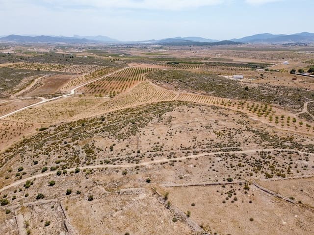Mark till salu i Pinoso - 25 000 € (Ref: 10130478)