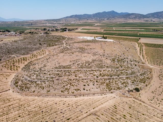 Mark till salu i Pinoso - 25 000 € (Ref: 10130478)