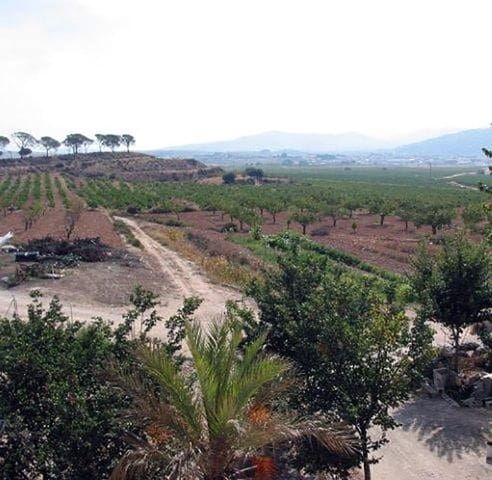 8 bedroom Finca/Country House for sale in Pinoso with pool - € 170,000 (Ref: 3126916)