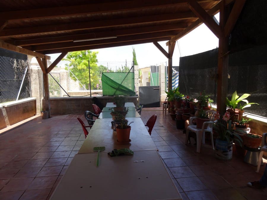 4 bedroom Finca/Country House for sale in Pinoso with pool - € 250,000 (Ref: 3171525)