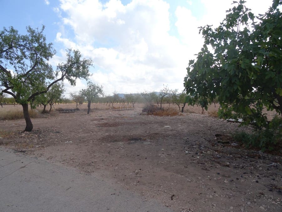 4 soverom Finca/Herregård til salgs i Pinoso med svømmebasseng - € 40 000 (Ref: 3190065)