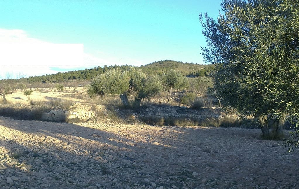 Grunde uden byggetilladelser til salg i Jumilla - € 24.000 (Ref: 3190067)