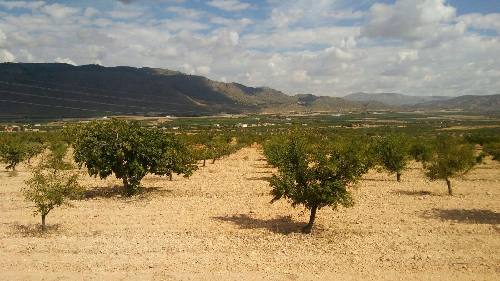 Grunde uden byggetilladelser til salg i Jumilla - € 24.000 (Ref: 3190067)