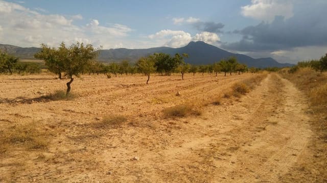Undeveloped Land for sale in Jumilla - € 24,000 (Ref: 3190067)