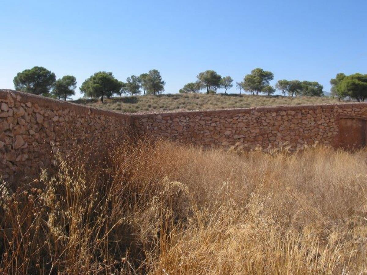 4 chambre Finca/Maison de Campagne à vendre à Torre del Rico - 89 000 € (Ref: 3228949)