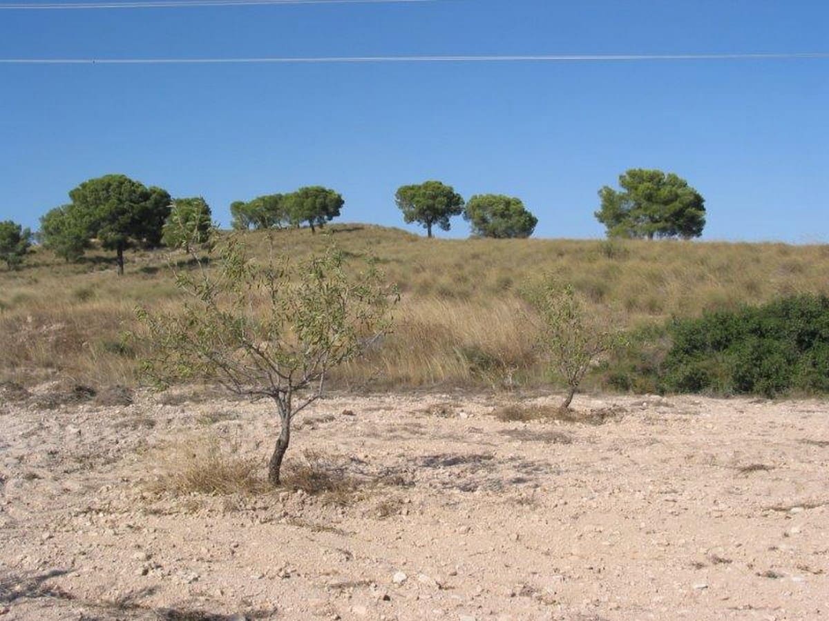 4 chambre Finca/Maison de Campagne à vendre à Torre del Rico - 89 000 € (Ref: 3228949)