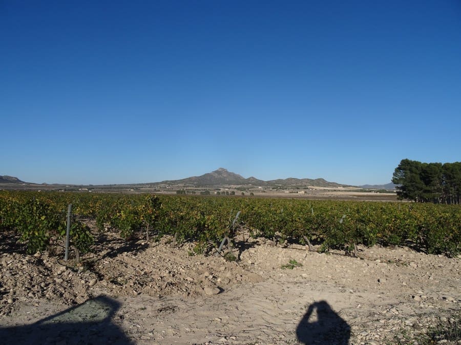 Terreno Non Edificato in vendita in Salinas - 72.000 € (Rif: 3238357)