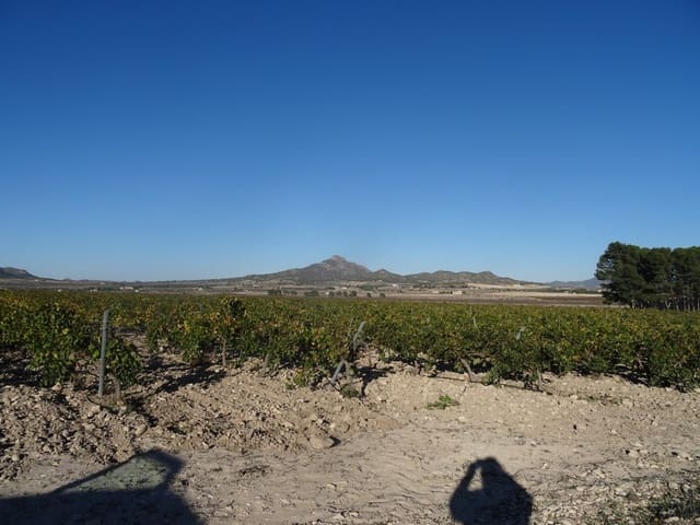 Undeveloped Land for sale in Salinas - € 72,000 (Ref: 3238357)