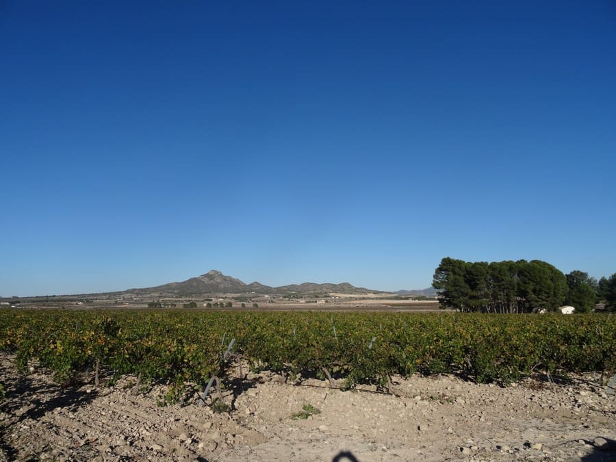 Terreno Non Edificato in vendita in Salinas - 72.000 € (Rif: 3238357)