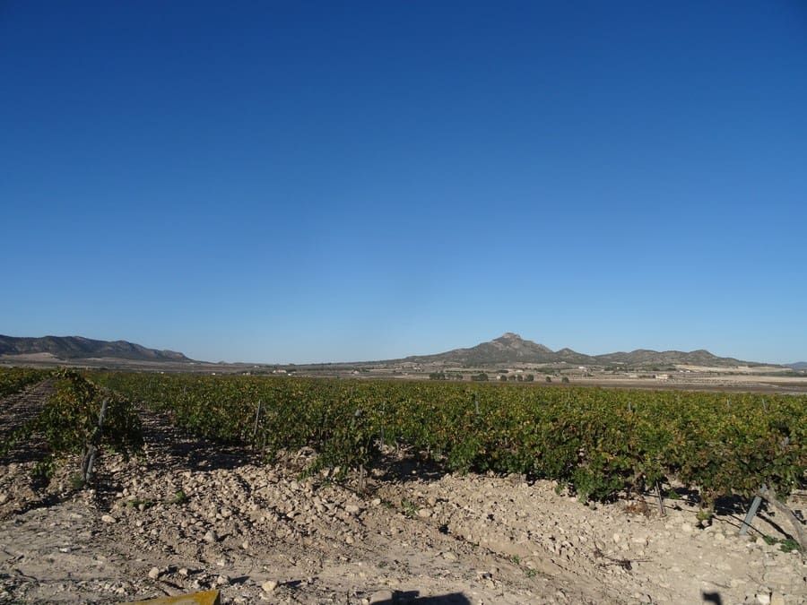 Terreno Non Edificato in vendita in Salinas - 72.000 € (Rif: 3238357)