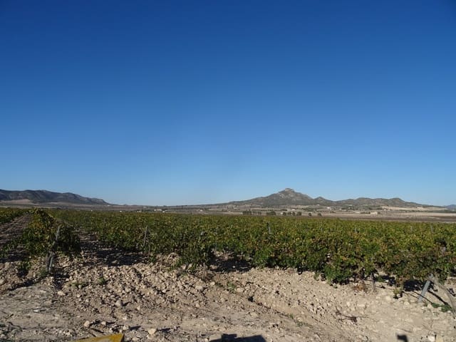 Undeveloped Land for sale in Salinas - € 72,000 (Ref: 3238357)