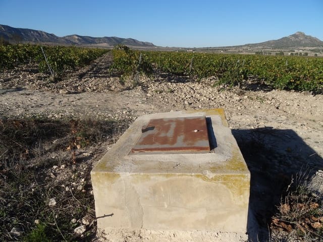 Undeveloped Land for sale in Salinas - € 72,000 (Ref: 3238357)