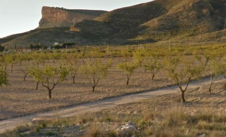 Grunde uden byggetilladelser til salg i Jumilla - € 45.000 (Ref: 3263904)