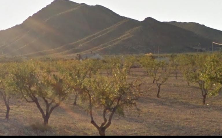 Grunde uden byggetilladelser til salg i Jumilla - € 45.000 (Ref: 3263904)