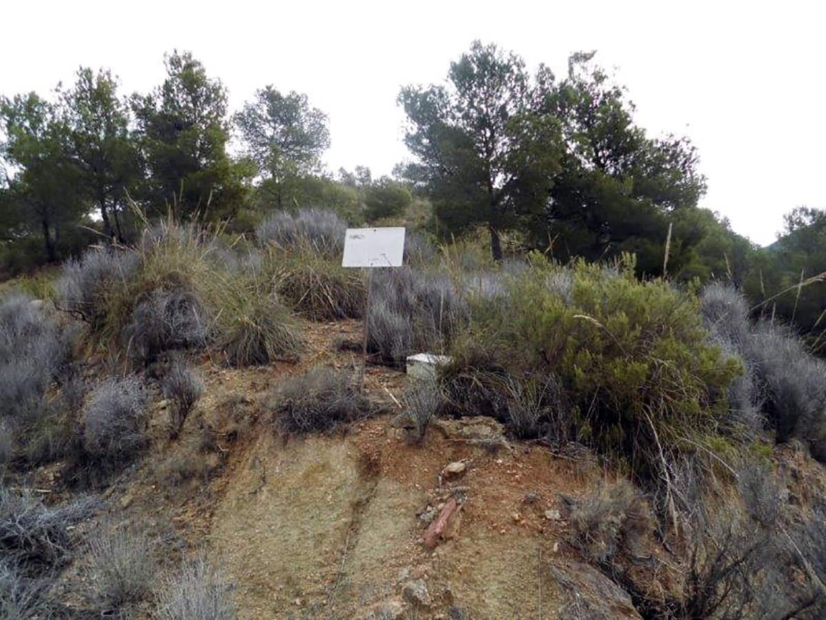 1 soveværelse Finca/Landehus til salg i Casas del Senor med swimmingpool - € 85.000 (Ref: 3312178)