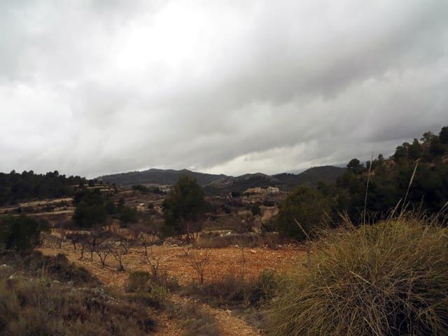 1 bedroom Finca/Country House for sale in Casas del Senor, Monóvar / Monóver with pool - € 85,000 (Ref: 3312178)