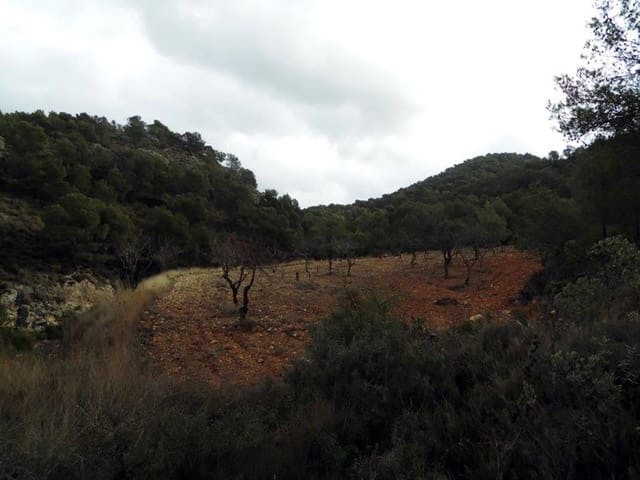 1 bedroom Finca/Country House for sale in Casas del Senor, Monóvar / Monóver with pool - € 85,000 (Ref: 3312178)