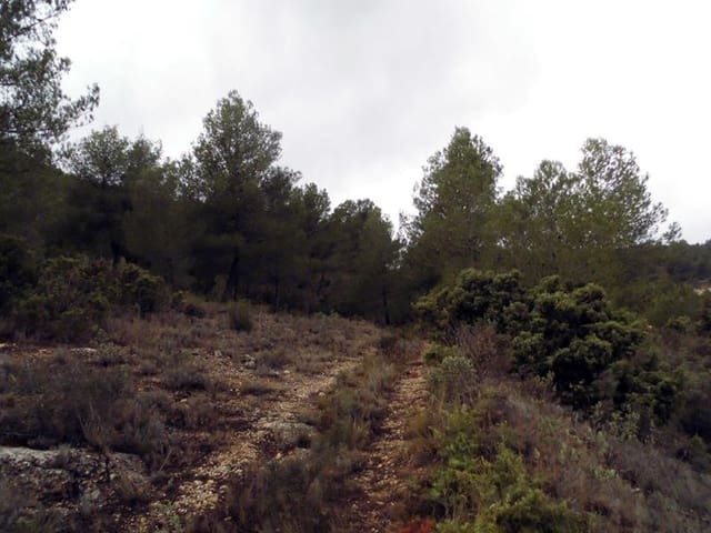 1 bedroom Finca/Country House for sale in Casas del Senor, Monóvar / Monóver with pool - € 85,000 (Ref: 3312178)