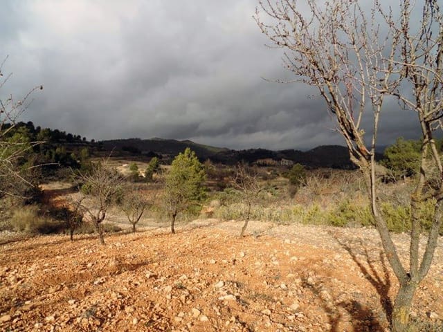 1 bedroom Finca/Country House for sale in Casas del Senor, Monóvar / Monóver with pool - € 85,000 (Ref: 3312178)