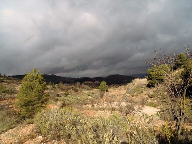 1 bedroom Finca/Country House for sale in Casas del Senor, Monóvar / Monóver with pool - € 85,000 (Ref: 3312178)