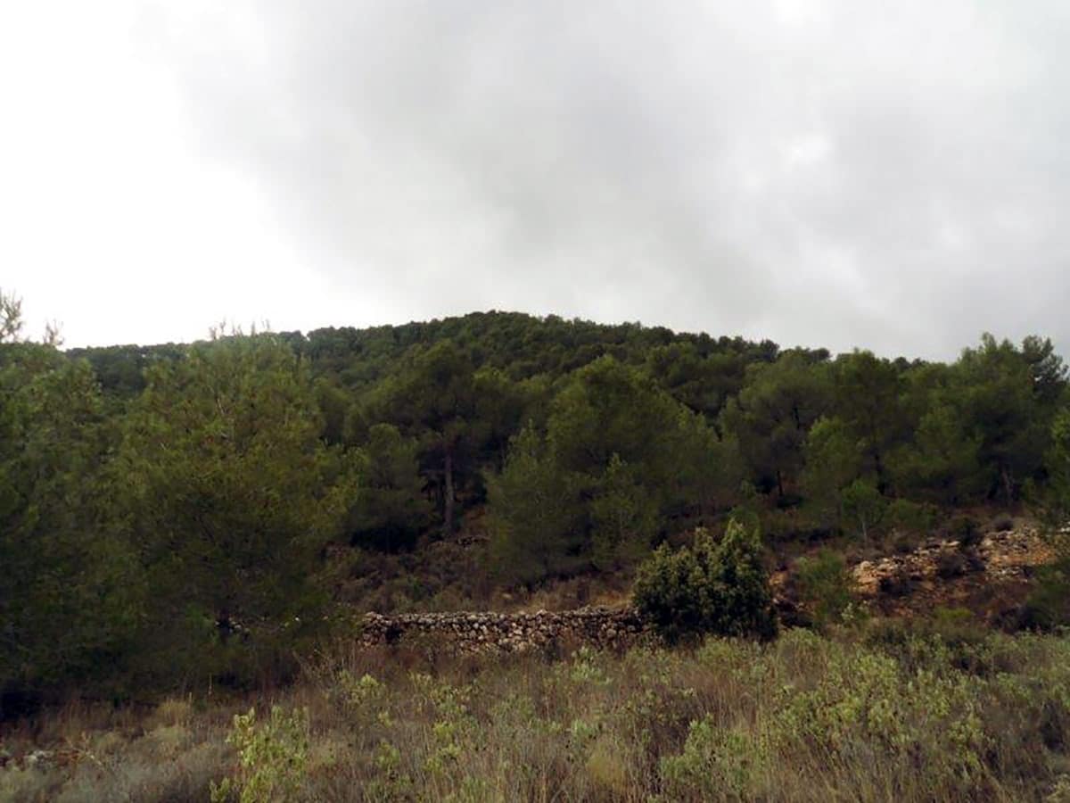 1 soveværelse Finca/Landehus til salg i Casas del Senor med swimmingpool - € 85.000 (Ref: 3312178)