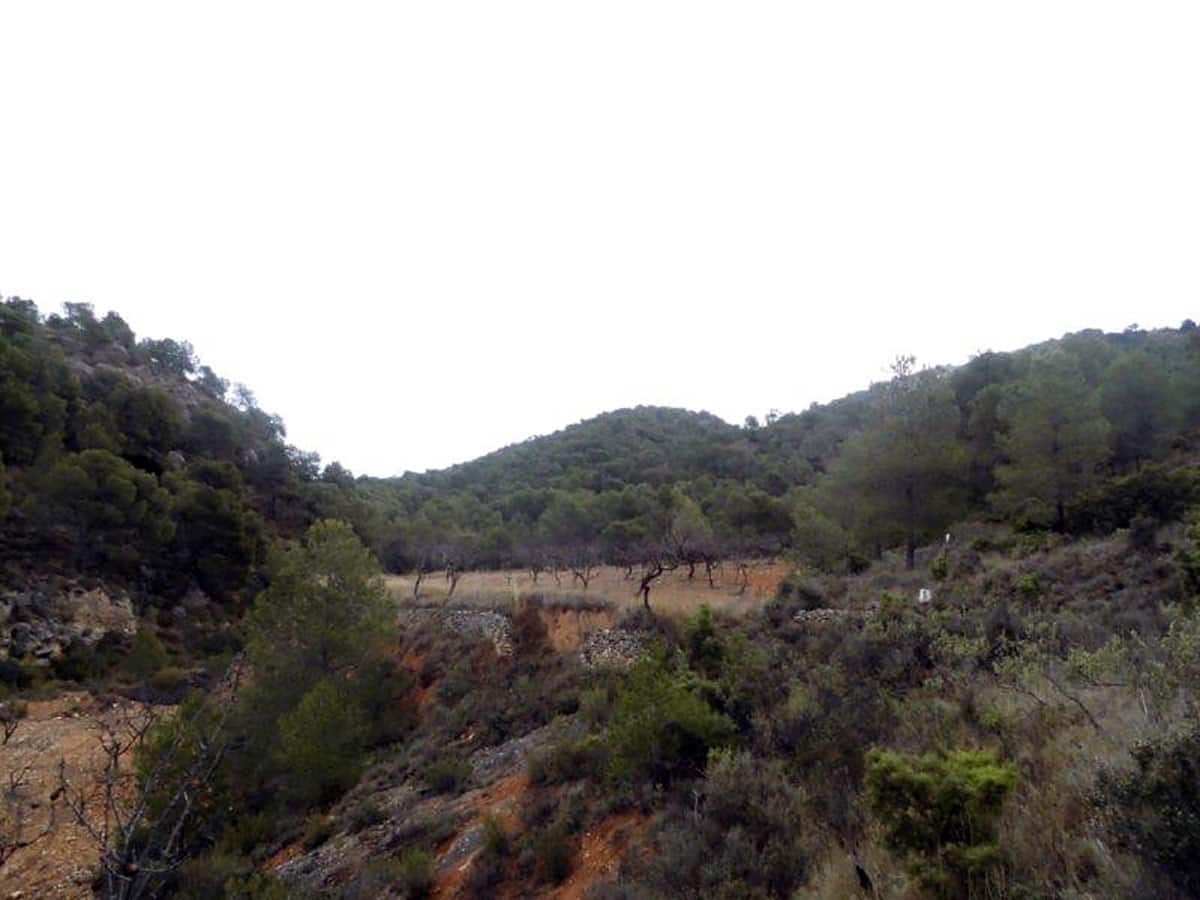 1 soveværelse Finca/Landehus til salg i Casas del Senor med swimmingpool - € 85.000 (Ref: 3312178)