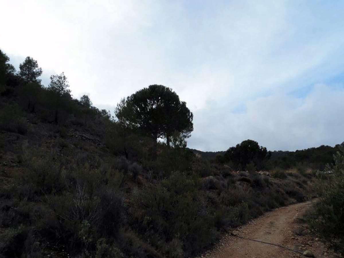 1 soveværelse Finca/Landehus til salg i Casas del Senor med swimmingpool - € 85.000 (Ref: 3312178)