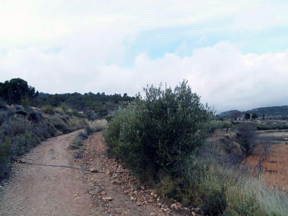 1 soveværelse Finca/Landehus til salg i Casas del Senor med swimmingpool - € 85.000 (Ref: 3312178)