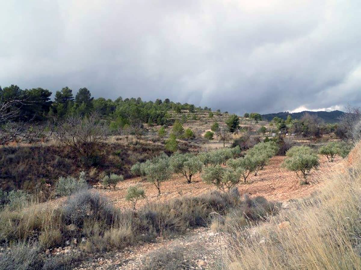 1 soveværelse Finca/Landehus til salg i Casas del Senor med swimmingpool - € 85.000 (Ref: 3312178)