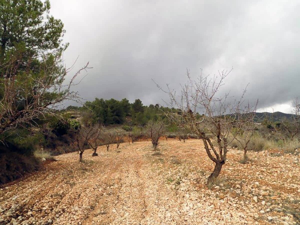 1 soveværelse Finca/Landehus til salg i Casas del Senor med swimmingpool - € 85.000 (Ref: 3312178)