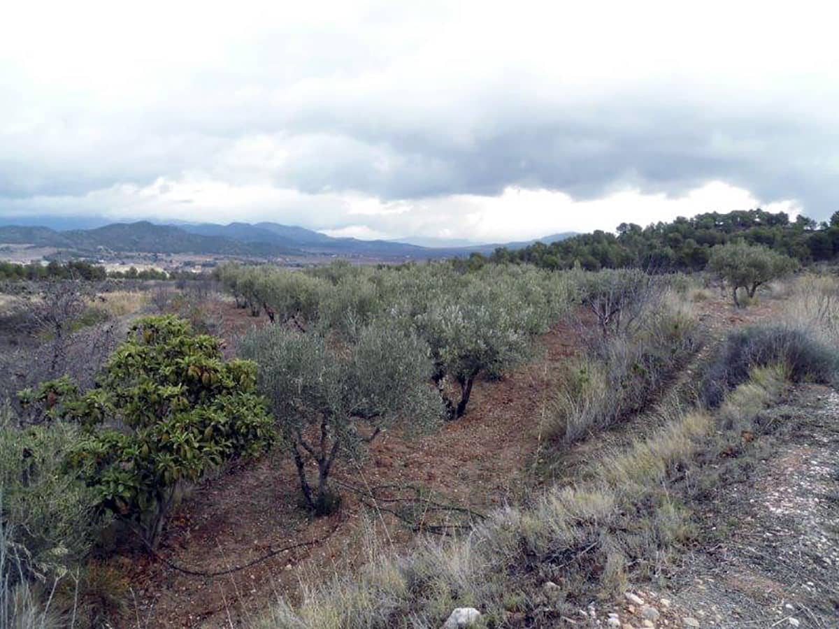 1 soveværelse Finca/Landehus til salg i Casas del Senor med swimmingpool - € 85.000 (Ref: 3312178)