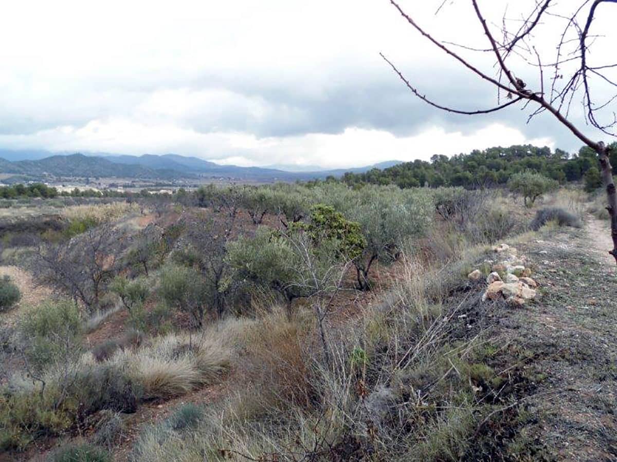 1 soveværelse Finca/Landehus til salg i Casas del Senor med swimmingpool - € 85.000 (Ref: 3312178)