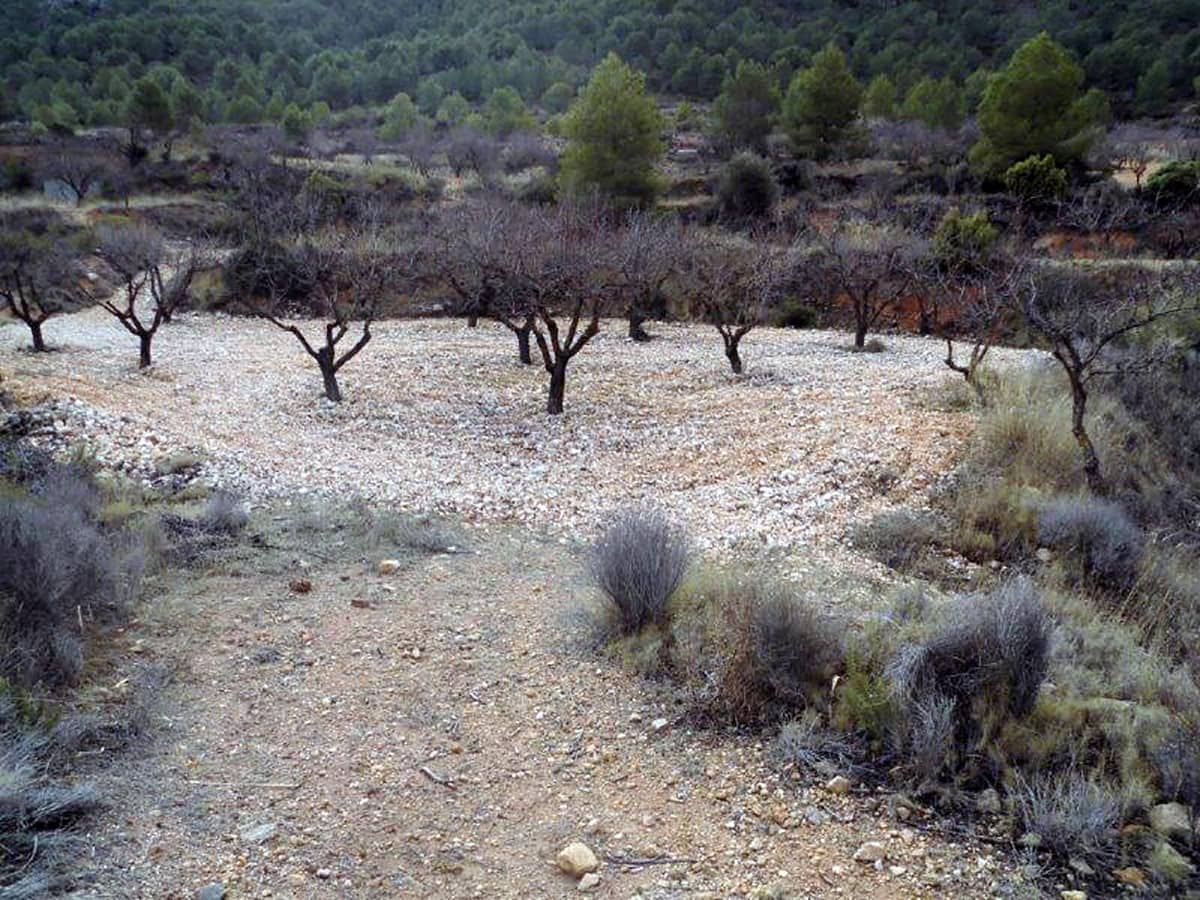 1 soveværelse Finca/Landehus til salg i Casas del Senor med swimmingpool - € 85.000 (Ref: 3312178)