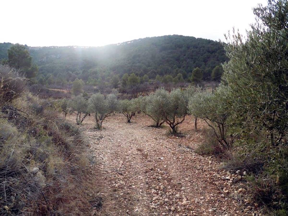 1 soveværelse Finca/Landehus til salg i Casas del Senor med swimmingpool - € 85.000 (Ref: 3312178)