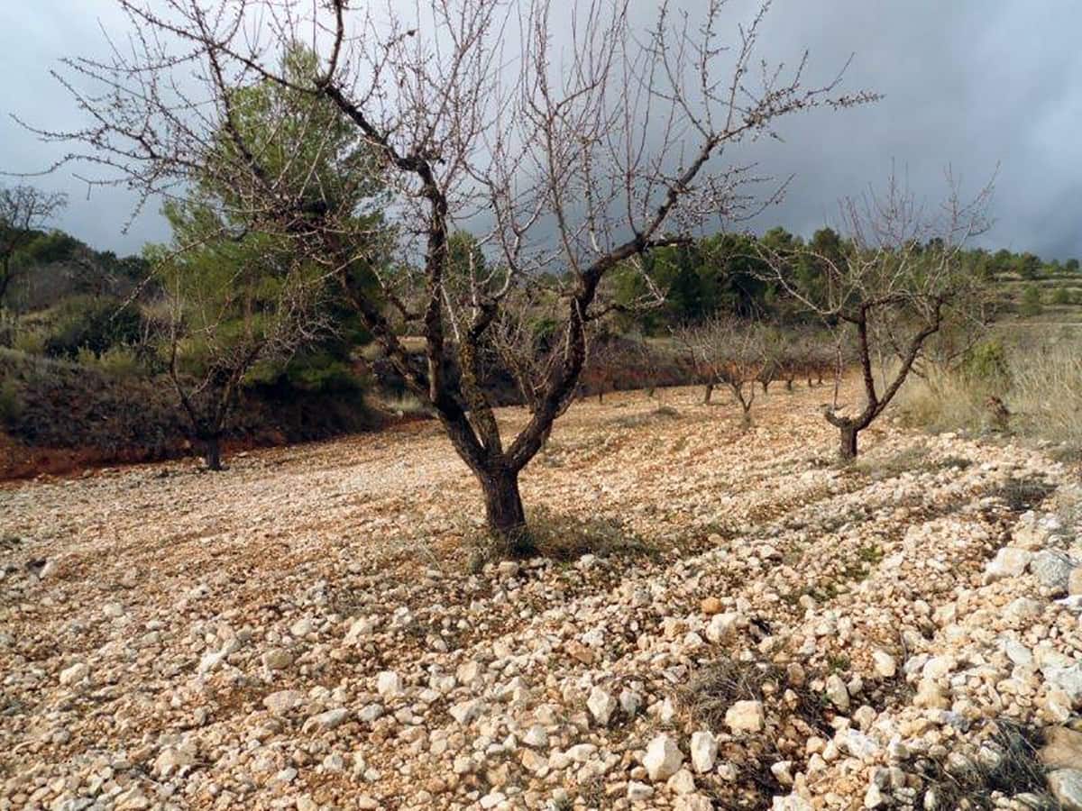 1 soveværelse Finca/Landehus til salg i Casas del Senor med swimmingpool - € 85.000 (Ref: 3312178)