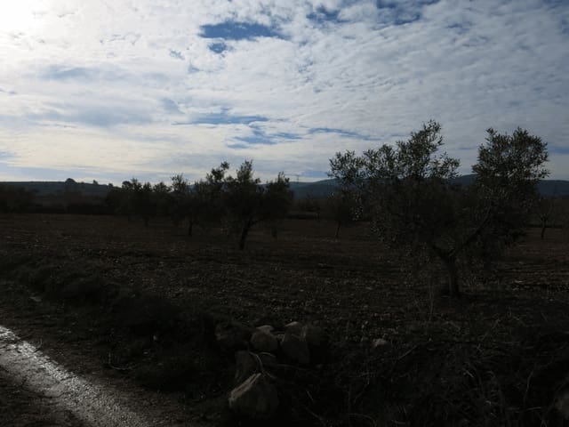 Grond te koop in Jumilla - € 69.000 (Ref: 3317008)